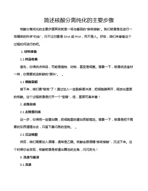 简述核酸分离纯化的主要步骤
