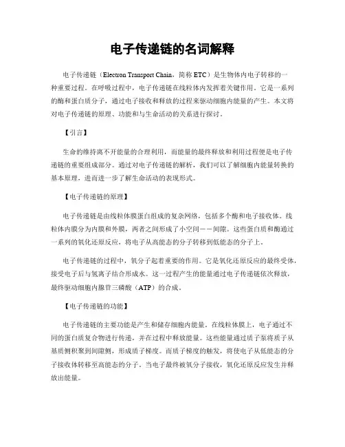 电子传递链的名词解释