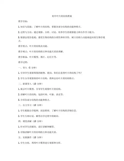 初中叶片的结构教案