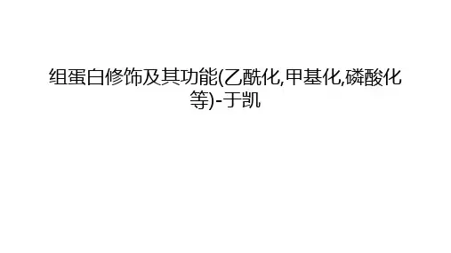 组蛋白修饰及其功能(乙酰化,甲基化,磷酸化等)-于凯资料