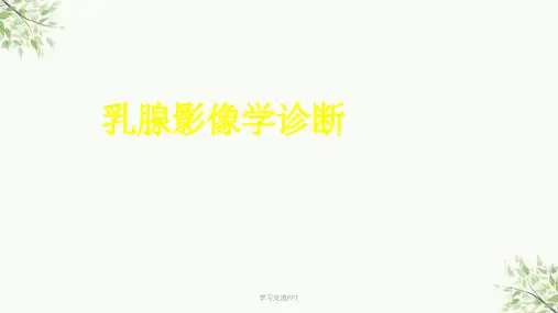 乳腺影像学诊断课件