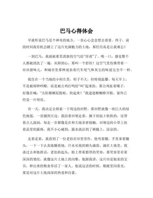 巴马心得体会