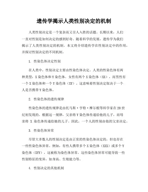 遗传学揭示人类性别决定的机制