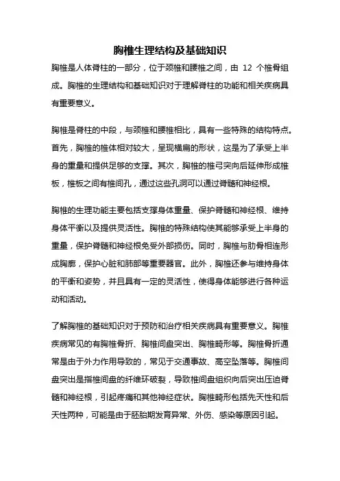 胸椎生理结构及基础知识