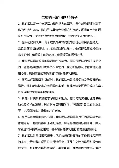 夸赞自己的团队的句子