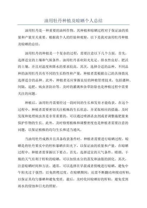 油用牡丹种植及晾晒个人总结