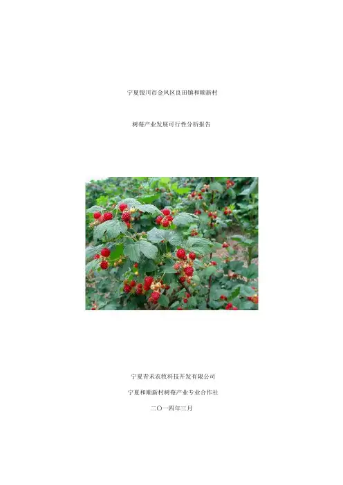 农村发展“树莓”经济产业循环链项目可行性分析报告