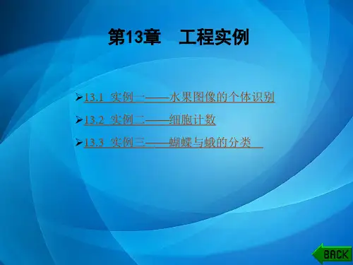 数字图像处理(第二版) 第13章