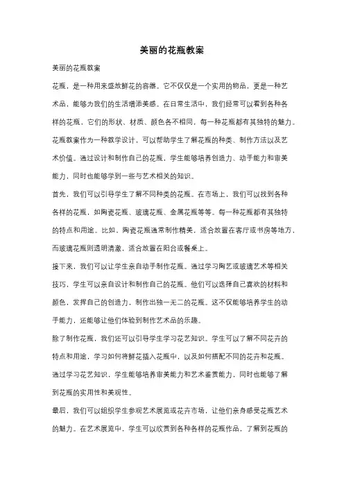 美丽的花瓶教案