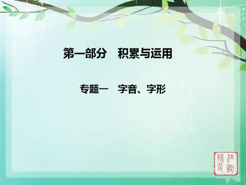 字音字形专题中考汇编PPT课件