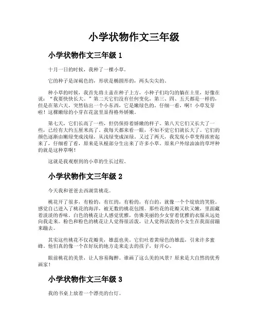 小学状物作文三年级