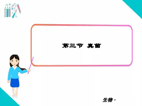 最新人教版八年级生物上册《细菌和真菌-真菌》PPT教学课件