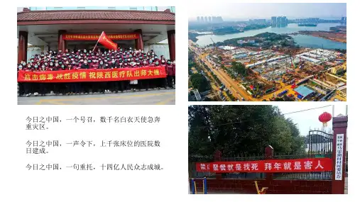 高中政治人教版必修二1.1人民民主专政：本质是人民当家作主(共31张PPT)