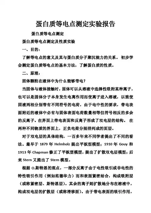 蛋白质等电点测定实验报告