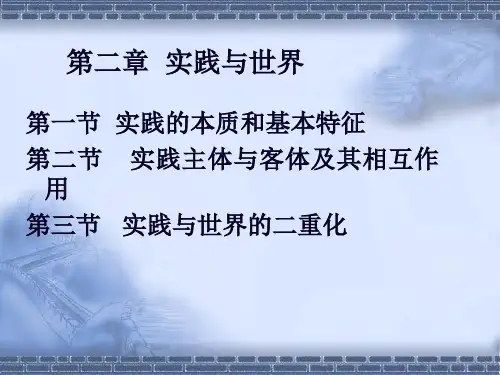 第2章 实践与世界