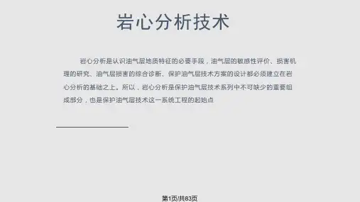康毅力岩心分析技术剖析
