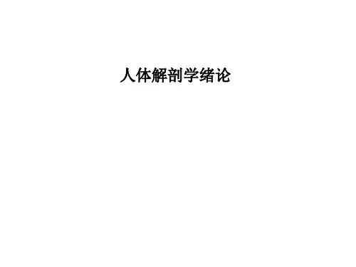 【人体解剖学PPT课件】 绪论 骨学