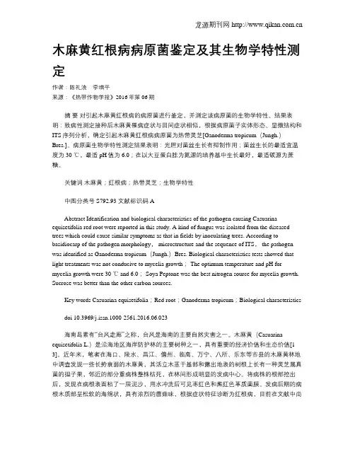 木麻黄红根病病原菌鉴定及其生物学特性测定