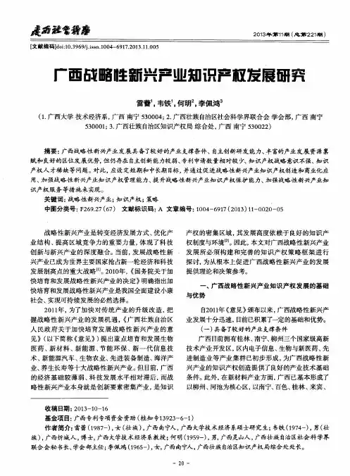 广西战略性新兴产业知识产权发展研究