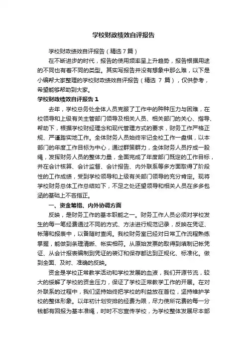 学校财政绩效自评报告