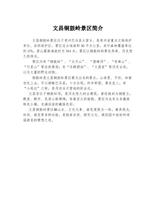 文昌铜鼓岭景区简介