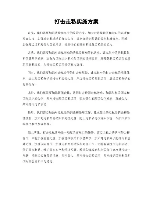 打击走私实施方案