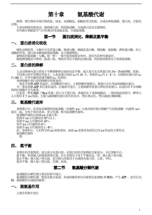 氨基酸