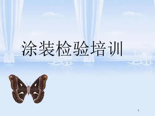 涂装检验培训教材(ppt 53页)
