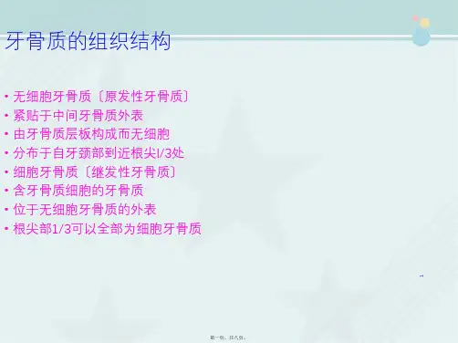 口腔医学专业《03-牙体组织-牙骨质》