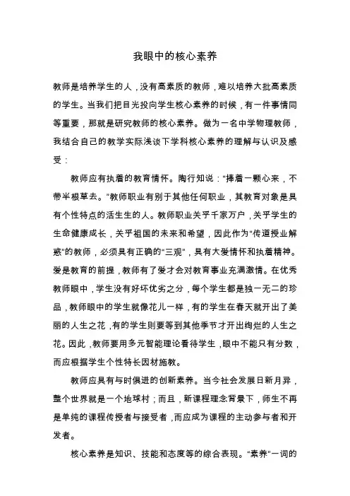 我眼中的中学物理核心素养