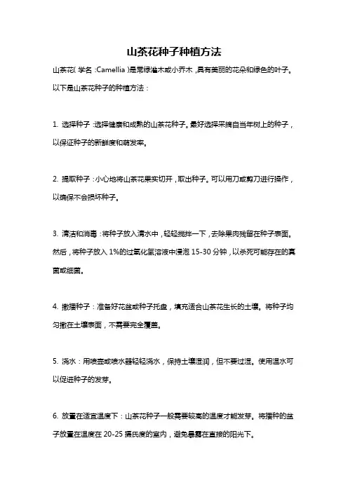 山茶花种子种植方法