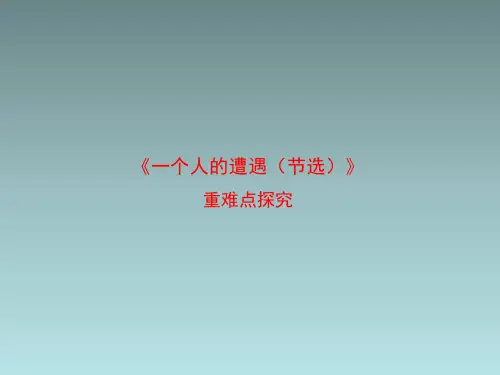 苏教版高中语文必修2《一个人的遭遇(节选)》重难点探究