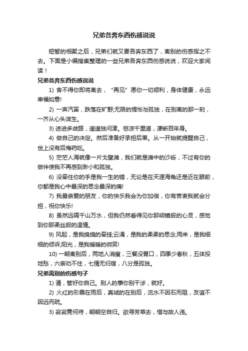 兄弟各奔东西伤感说说