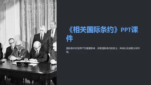 《相关国际条约》课件
