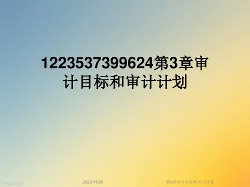 第3章审计目标和审计计划