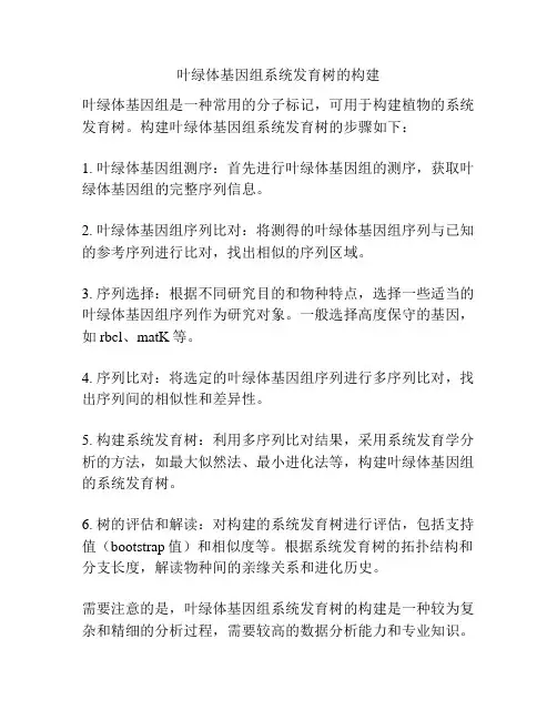 叶绿体基因组系统发育树的构建