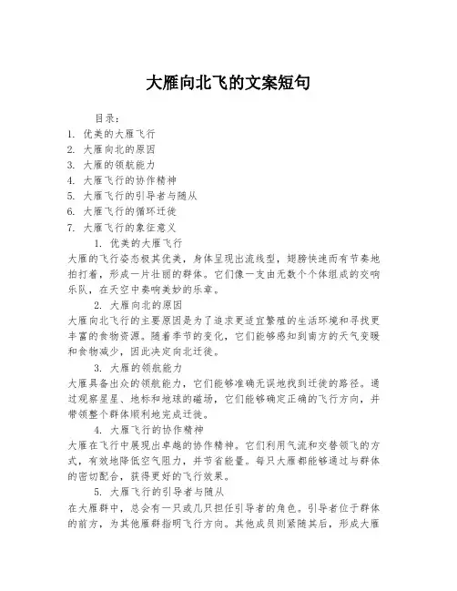 大雁向北飞的文案短句