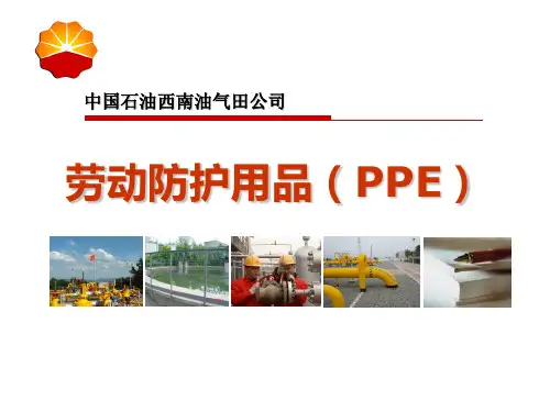 劳动防护用品(PPE)知识-PPT(精)