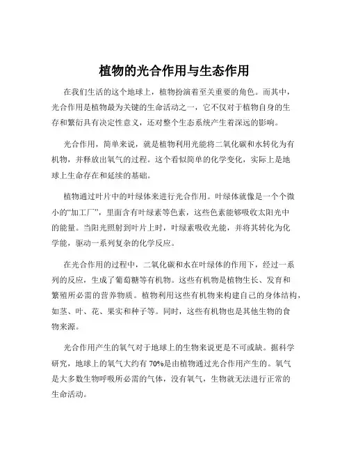 植物的光合作用与生态作用