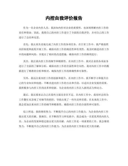 内控自我评价报告