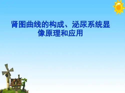 肾图曲线的构成、泌尿系统显像原理和应用