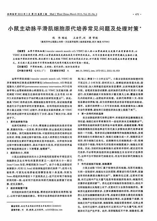 小鼠主动脉平滑肌细胞原代培养常见问题及处理对策