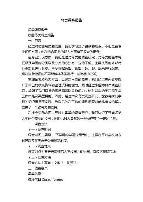 鸟类调查报告