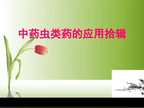 中药虫类药的应用拾辑