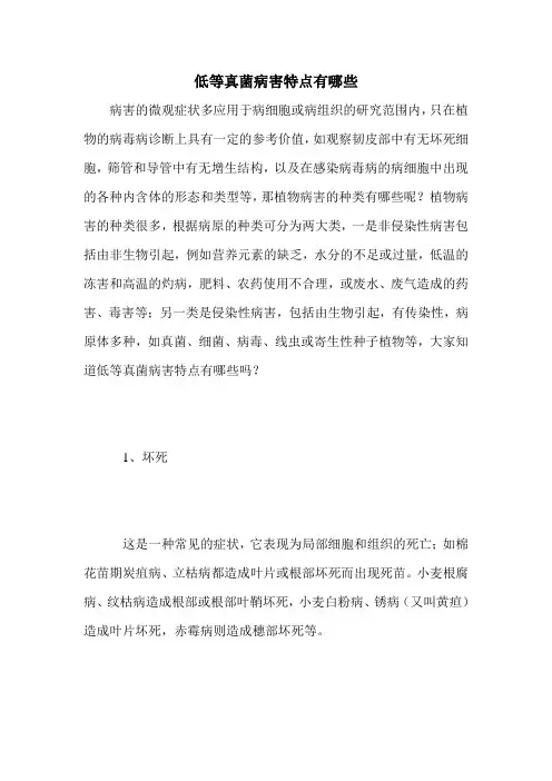 低等真菌病害特点有哪些