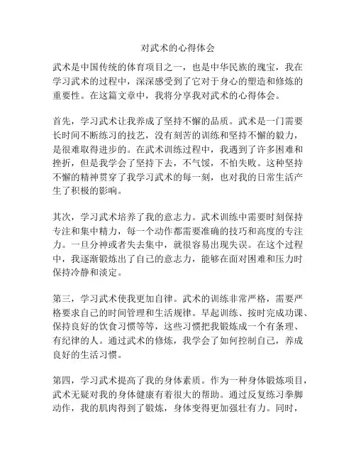对武术的心得体会