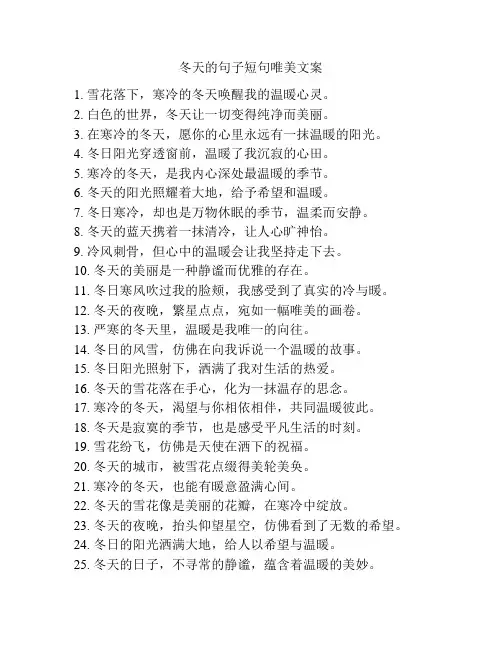 冬天的句子短句唯美文案