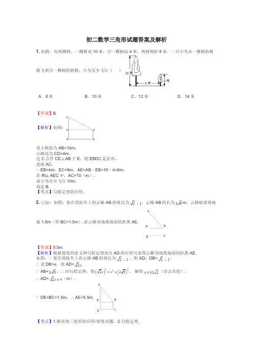 初二数学三角形试题答案及解析
