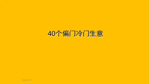 40个偏门冷门生意PPT课件