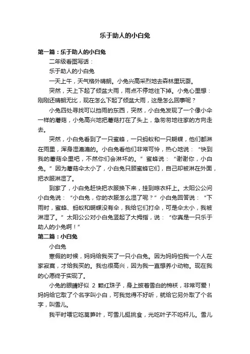 乐于助人的小白兔